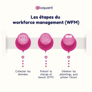 wfm schéma